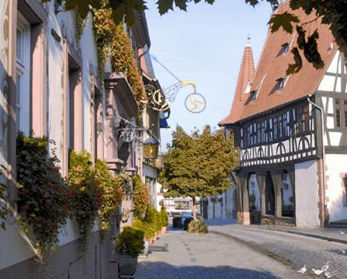 Hotel-Restaurant Drei Hasen Michelstadt Exterior foto